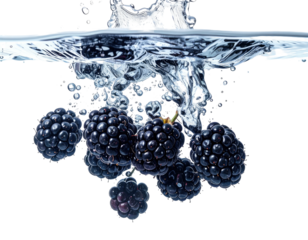 Deep black berries submerged in clear water with droplets splashing. Isolated, transparent background