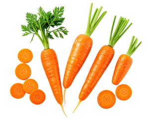Overhead view of four whole carrots with green tops, carrot slices on black background