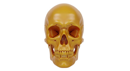 Isolated Human Skull Front, Anatomy of Cranium Structure for Medical Training, Medicine