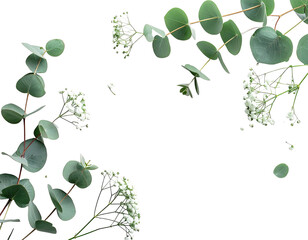 Arrangement featuring round leaves and tiny white flowers against a black background