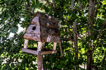 Birdhouse in the forest on a tree in summer.