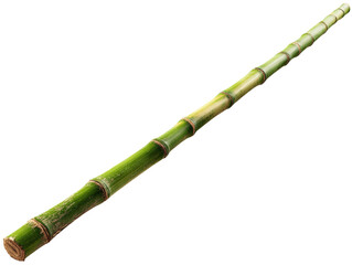 Green bamboo pole segment with nodes and textured surface conveying natural calmness