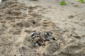 Small pile of stones and coral fragments on sandy beach, showing the natural beauty and simplicity of seaside nature.
