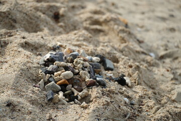 Small pile of stones and coral fragments on sandy beach, showing the natural beauty and simplicity of seaside nature