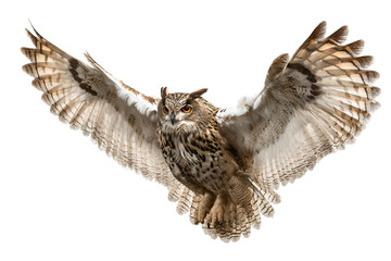 Majestic Eurasian Eagle Owl Wings Spread Wide Gracefully Isolated A Symbol of Mysterious Nocturnal Power The Freedom Flight of A Large Owl Species Predatory Fowl