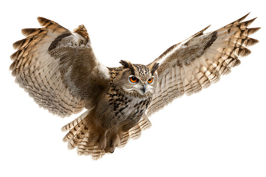 Majestic flight of an eagle owl spreading impressive wings in the sky a portrait of wildlife in action expressing freedom and power a magnificent avian predator - Powered by Adobe