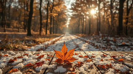 Autumn forest path illuminated by golden sunlight
