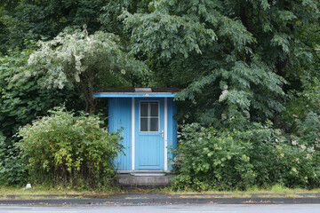 A quaint blue wooden shed surrounded by lush greenery and trees, exuding a peaceful vibe. Realistic photography style.