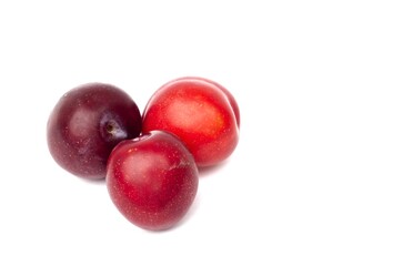 Closeup of Ripe Aloo Bukhara Fruit or Plum Fruit Isolated on White Background with Copy Space