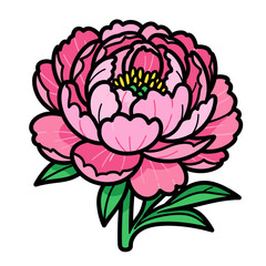 Vibrant Pink Peony Flower Illustration with Green Stem and Leaves - Botanical Vector Graphic