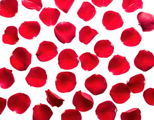Scattered close-up view of vibrant, crimson rose petals against a black background