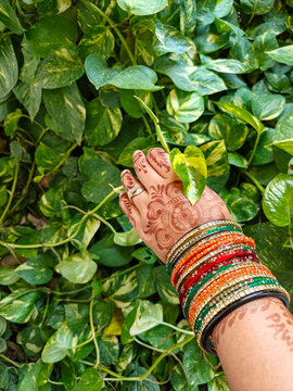 Traditional Indian Mehndi Design with Bangles &ndash; Elegant Hand Art for Wedding, Festive & Cultural Celebrations