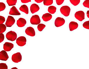 A dark composition features scattered, vibrant red flower petals over a blank, deep black space