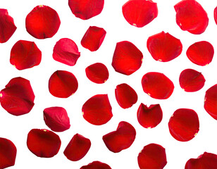 Scattered crimson petals against stark black, offering a dramatic contrast. Soft texture, vibrant hues