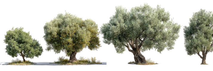 Row of varied green trees on small ground patches