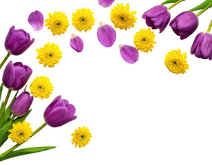 A floral arrangement of vibrant purple tulips and yellow daisies on a black background