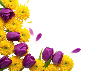 A vivid floral corner arrangement featuring vibrant yellow mums and purple tulips on black