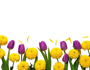 Floral arrangement of bright yellow and purple flowers against a stark black backdrop