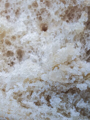 Fresh whole wheat bread crumb macro texture