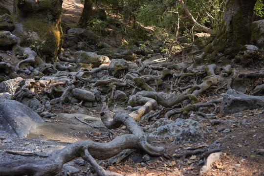In summer, the "Seven Springs" (Epta Piges) on the island of Rhodes are dried up, Rhodes - Greece