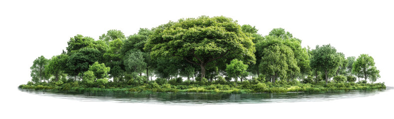 Lush green trees on an island with a calm water reflection