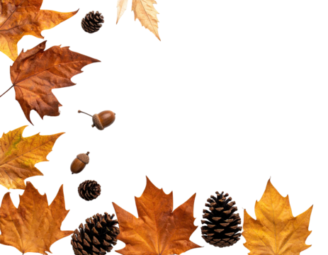 An autumnal arrangement featuring vibrant, textured leaves, acorns, and pine cones set against black - Powered by Adobe