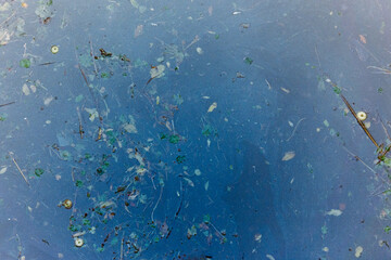 Leaves and oil on the water