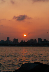 Obraz premium sunset at the city