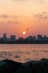 sunset over the city