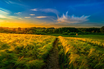 łąka © LoveNature<3