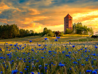 młyn © LoveNature<3