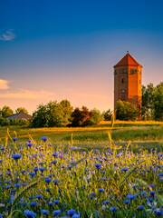 młyn © LoveNature<3