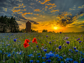 młyn © LoveNature<3