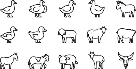 farm birds icons, chicken vector, duck symbol, farm poultry, bird illustration, rooster icon, farm animals, bird logo, agriculture vector, black bird design