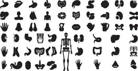  anatomy icons, medical organs, human body vector, biological structure, body system, internal anatomy, healthcare icons, organ design, physiology symbol, medical diagram