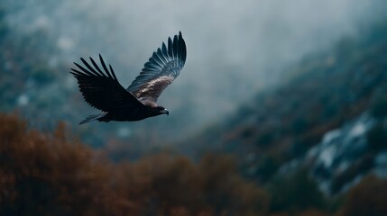 Fototapeta premium A majestic eagle soars through a misty mountain landscape embodying freedom and the wild spirit of nature