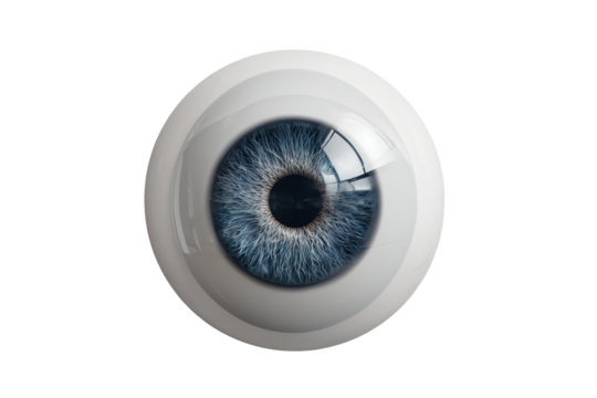 Realistic human eye with detailed iris cut out on transparent background