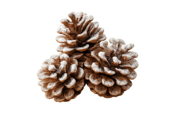 Fototapeta premium Pinecones covered with snow for winter holiday decoration
