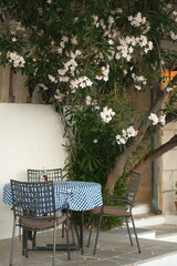 Outdoor dining area with checkered tablecloth and blooming flowers in a serene garden setting