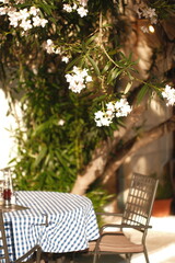 Outdoor dining table with checkered tablecloth surrounded by lush greenery and blooming flowers