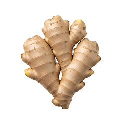 Fresh Ginger Root Isolated on Black Background