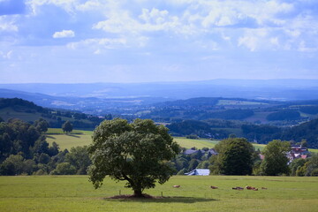 landschaft - Rh&ouml;n