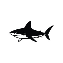 Fierce Shark Predator Marine Animal Vector Illustration