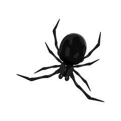Illustration of a black widow spider on a white background, detailed arachnid artwork