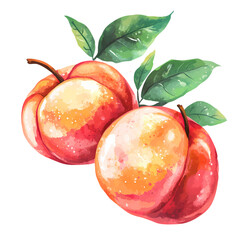 Two ripe peaches with green leaves, showcasing their vibrant colors against a white background