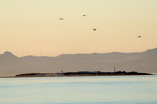 Amanecer viendo la isla con su faro, el agua mansa la rodea y al fondo se aprecian las monta&ntilde;as difuminadas por la calima procedente de Africa, las aves vuelan al comp&aacute;s del aire de levante