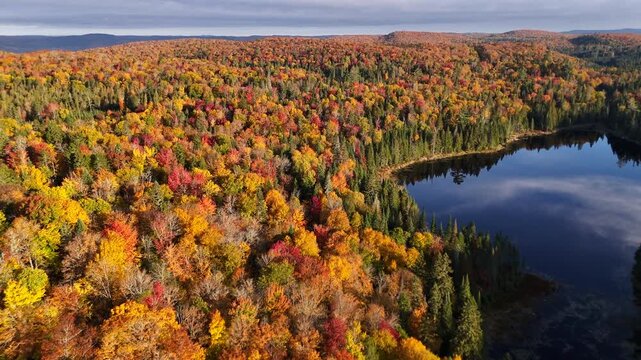 Aerial view at morning golden hour over a vibrant autumn forest, lake, and mountains in Mauricie, Quebec, Canada. Soft light reveals the rich fall colors.