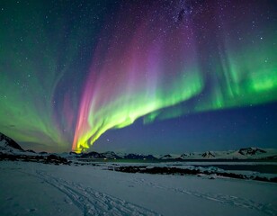 Majestic aurora borealis over a snowy landscape