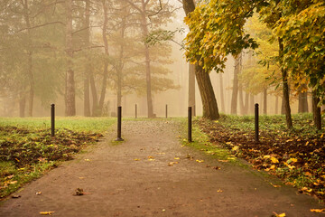 park,aleja,mgła  © Marcin Łazarczyk