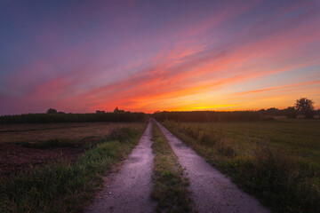 Fototapety na wymiar - Fototapeta24.pl